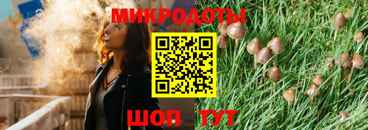 Качканар  Псилоцибиновые грибы MAGIC MUSHROOMS  Вход с VPN 